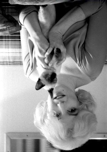 Norma Jean, aka Marilyn Monroe, with a kitten