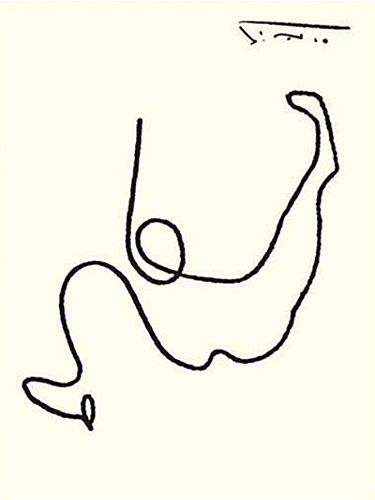 Picasso's drawing of a camel